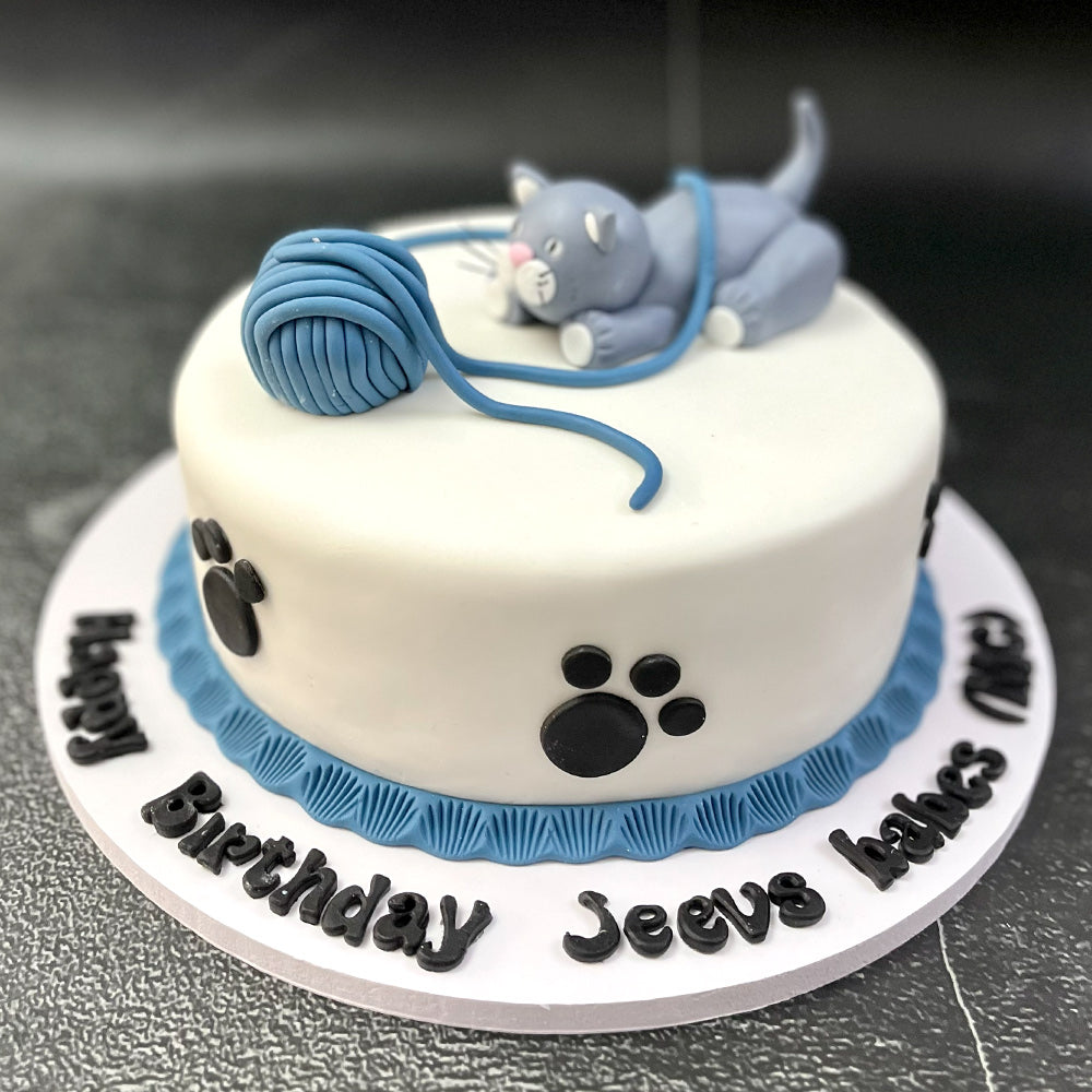 Kitten & Wool Cake