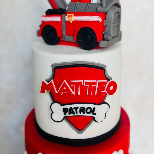 Paw Patrol Marshall Cake