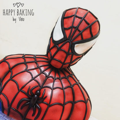 Spider Hero Celebration Cake