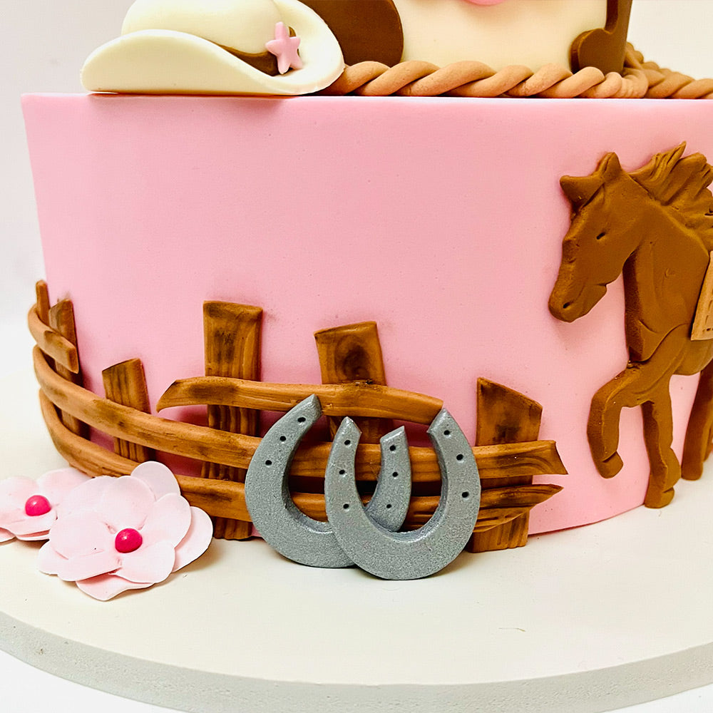 Cow Girl Themed Cake